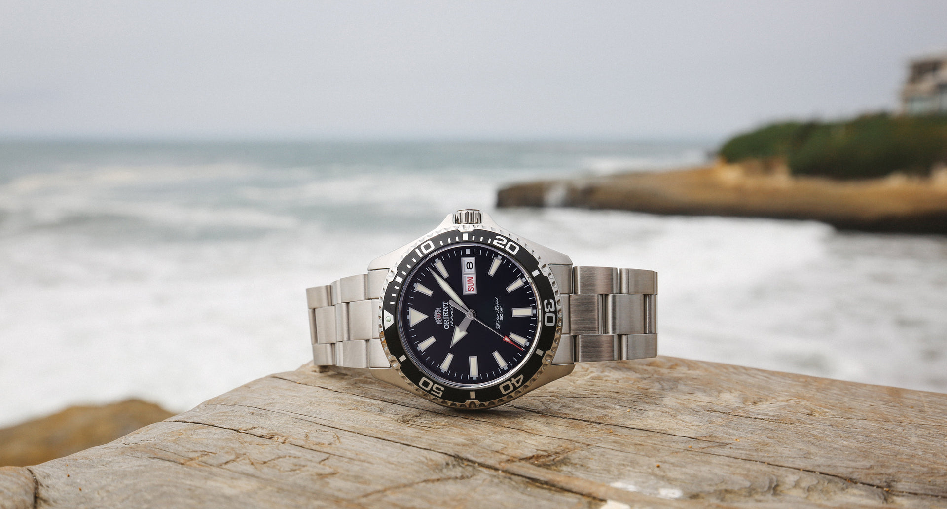 Diver