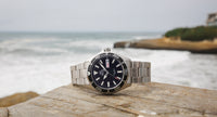 Diver