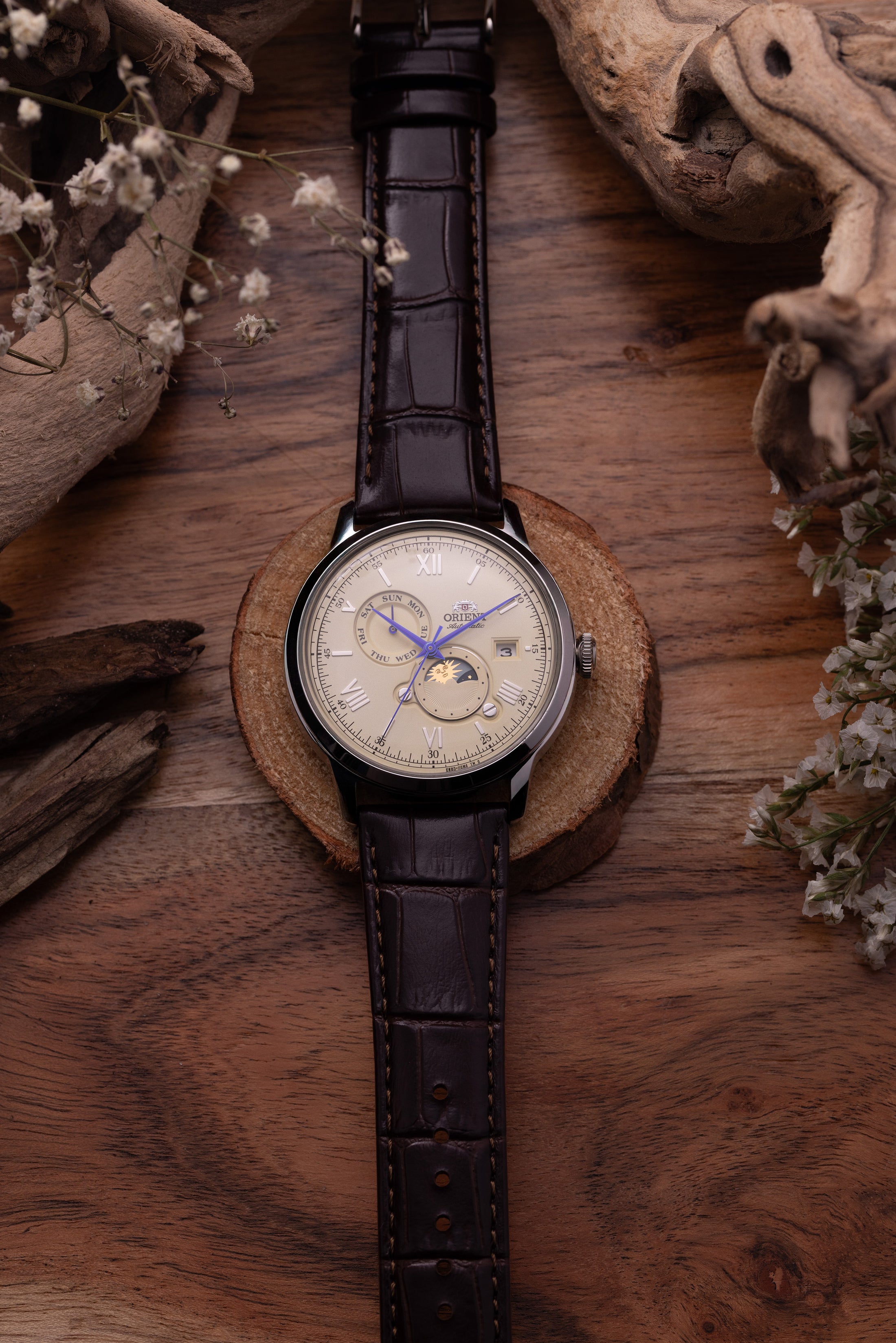 Orient Bambino Version 9