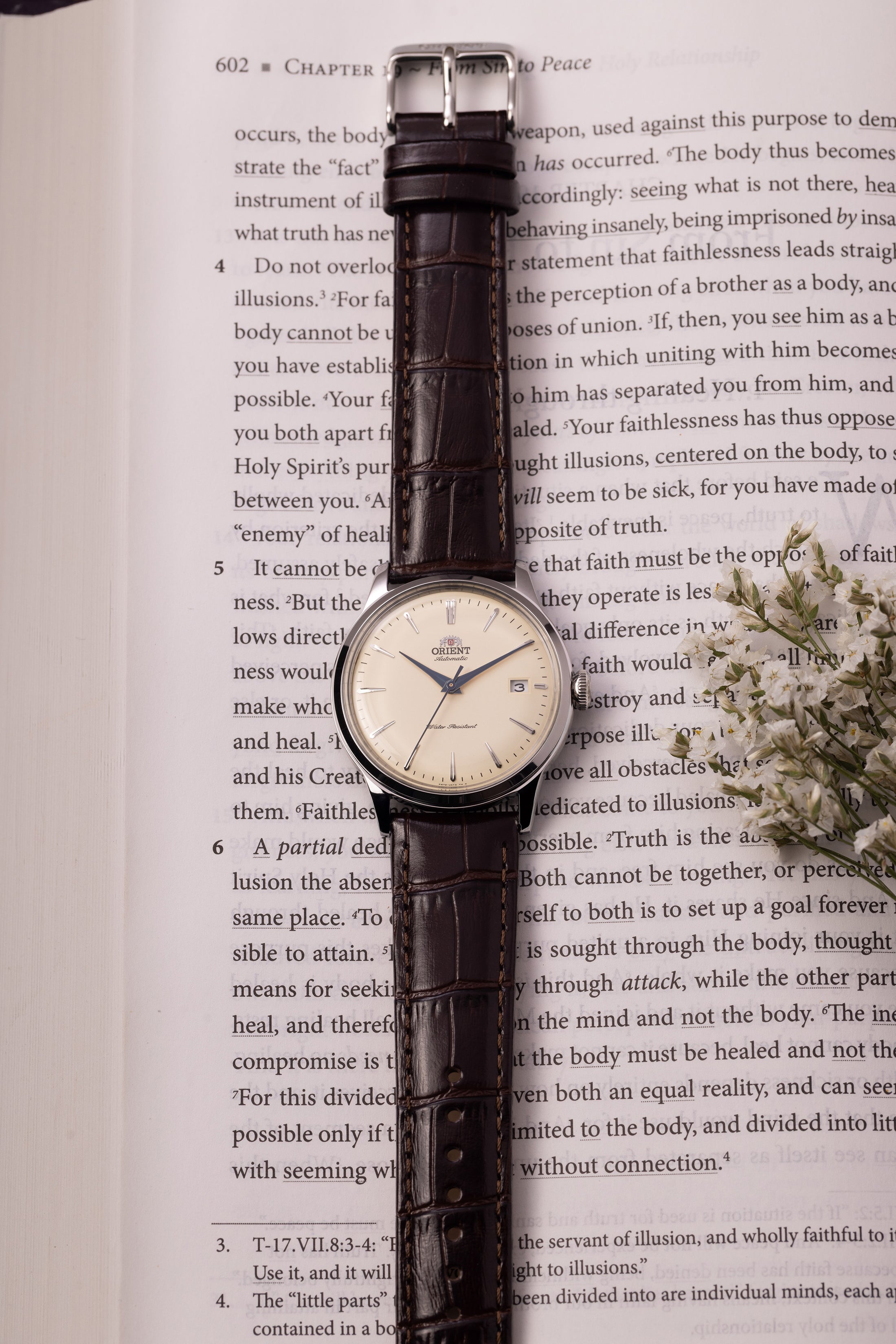 Orient Bambino Version 7 (38.4mm)