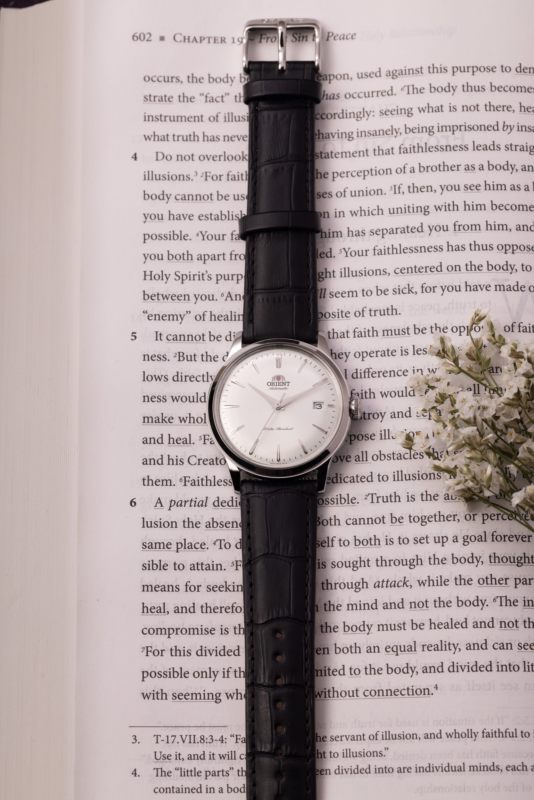 Orient Bambino Version 7 (38.4mm)