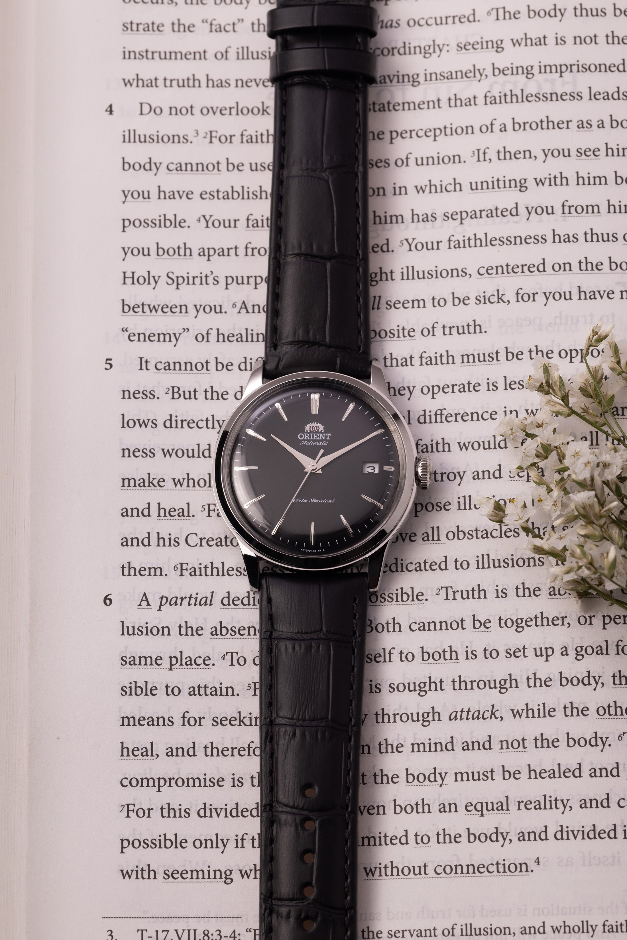 Orient Bambino Version 7 (38.4mm)