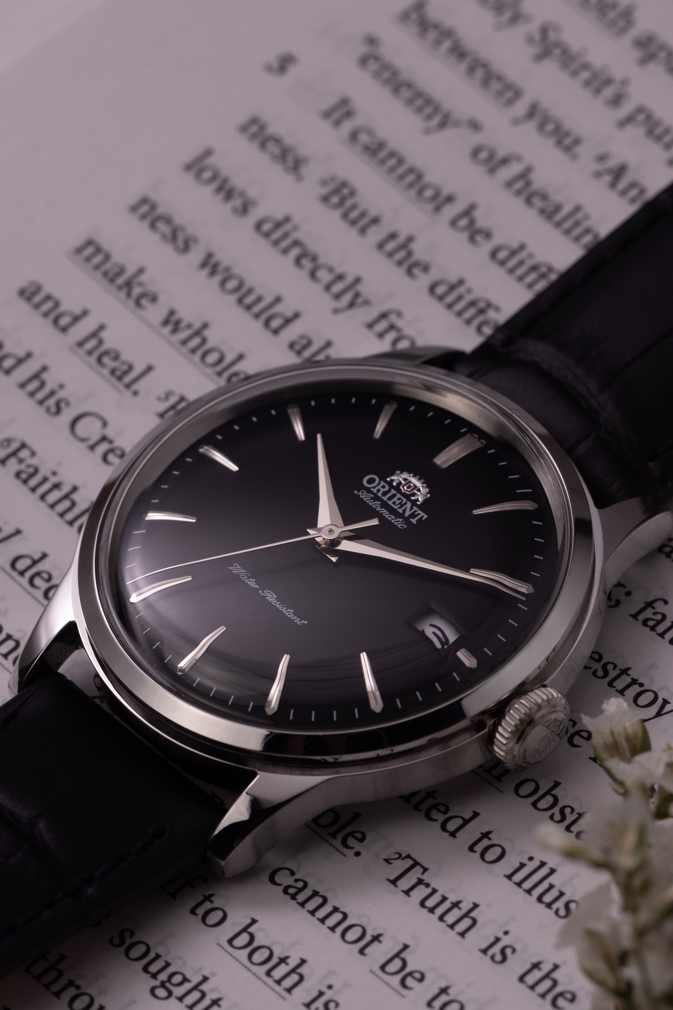 Orient Bambino Version 7 (38.4mm)