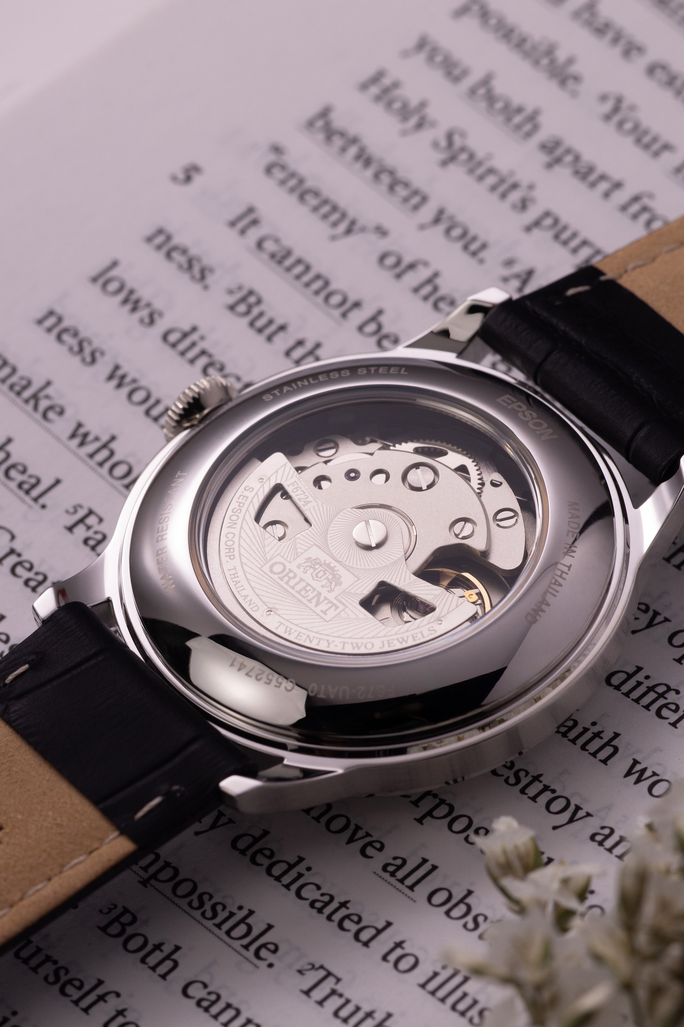 Orient Bambino Version 7 (38.4mm)