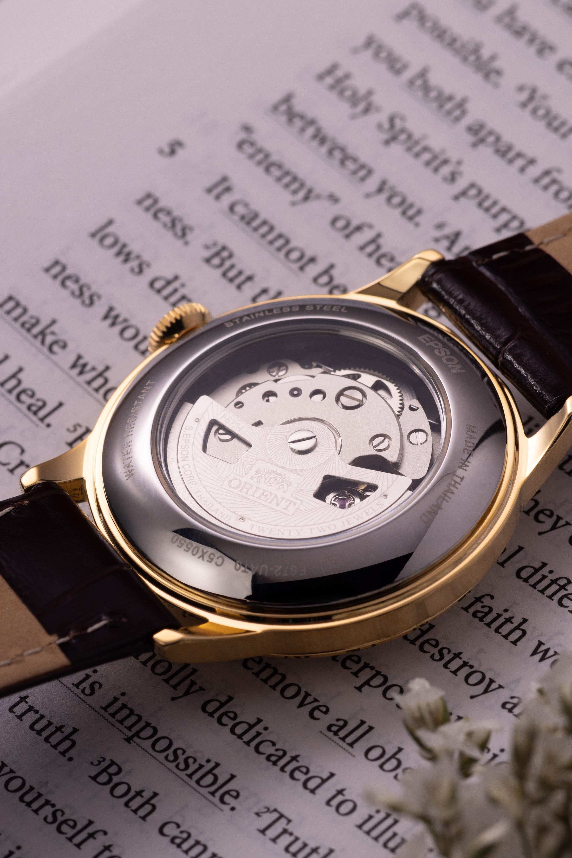 Orient Bambino Version 7 (38.4mm)