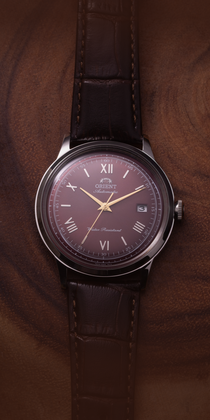 ORIENT BAMBINO