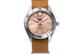 AC0Q Diver