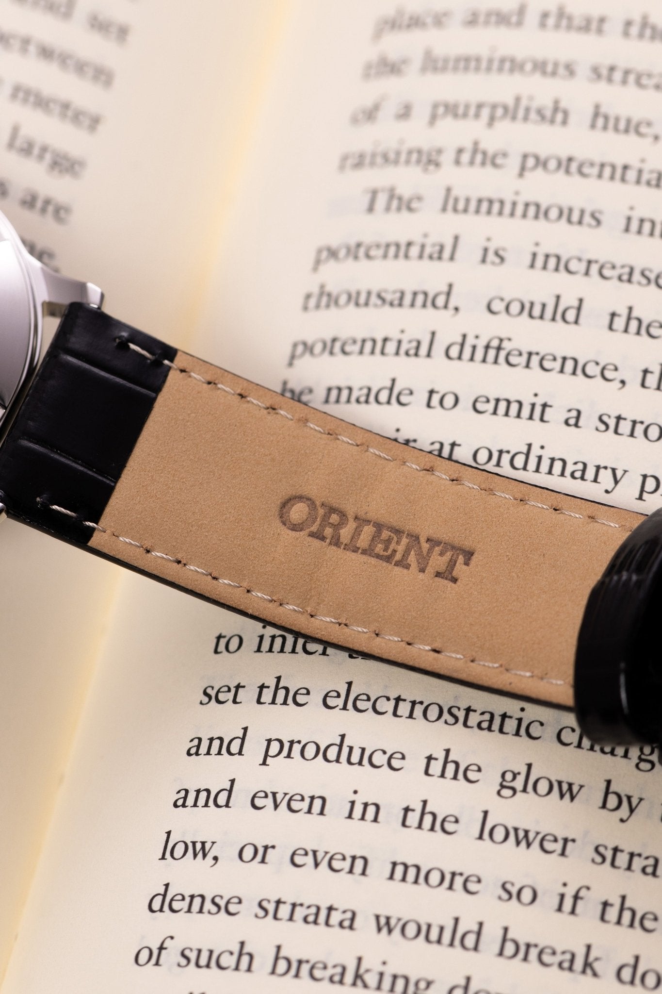 Orient Bambino Version 2 - Orient Watch USA