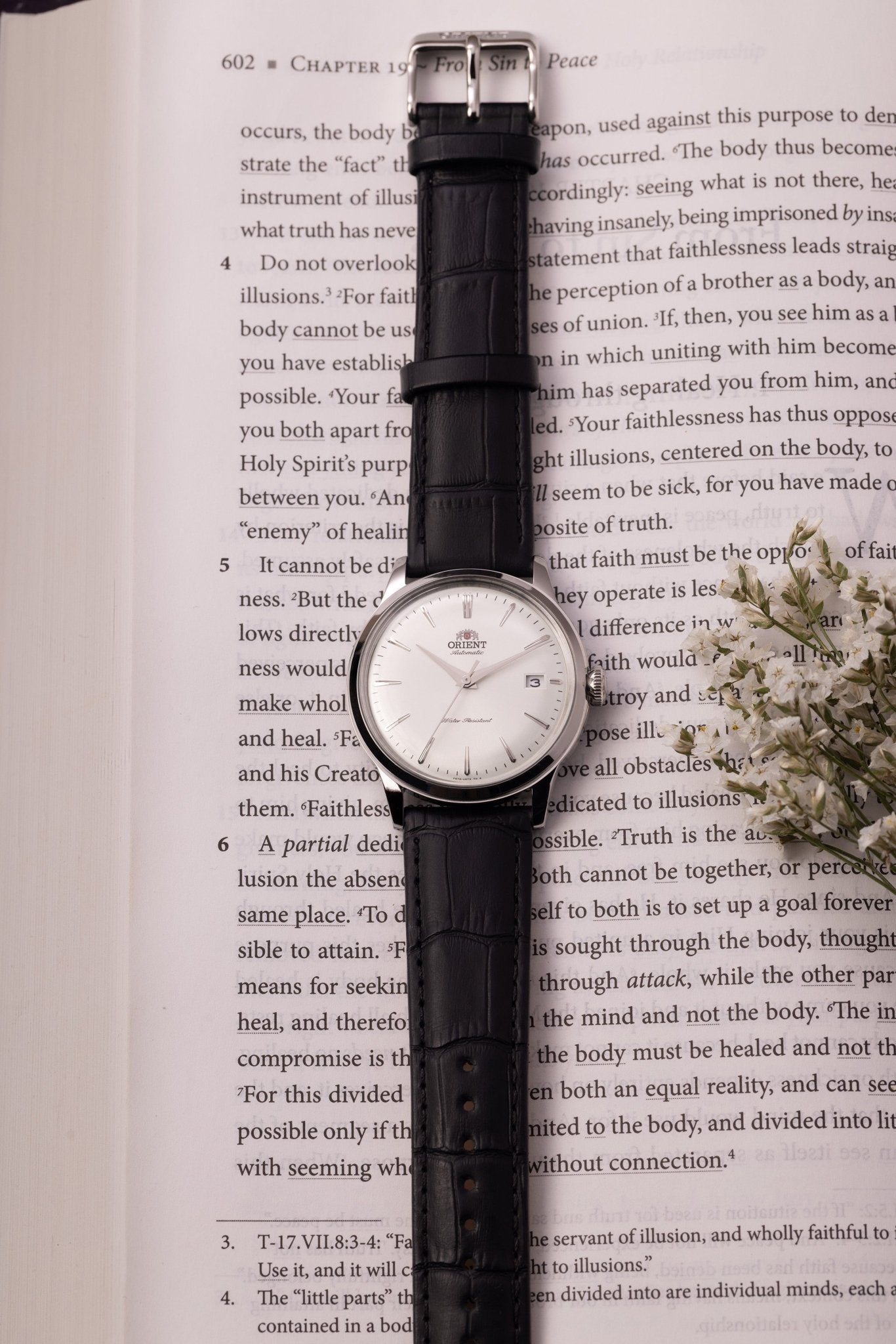 Orient Bambino Version 7 (38.4mm) - Orient Watch USA
