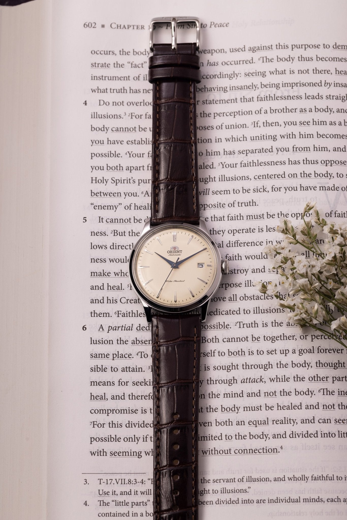 Orient Bambino Version 7 Classic Watch | RA-AC0M04Y30B RA