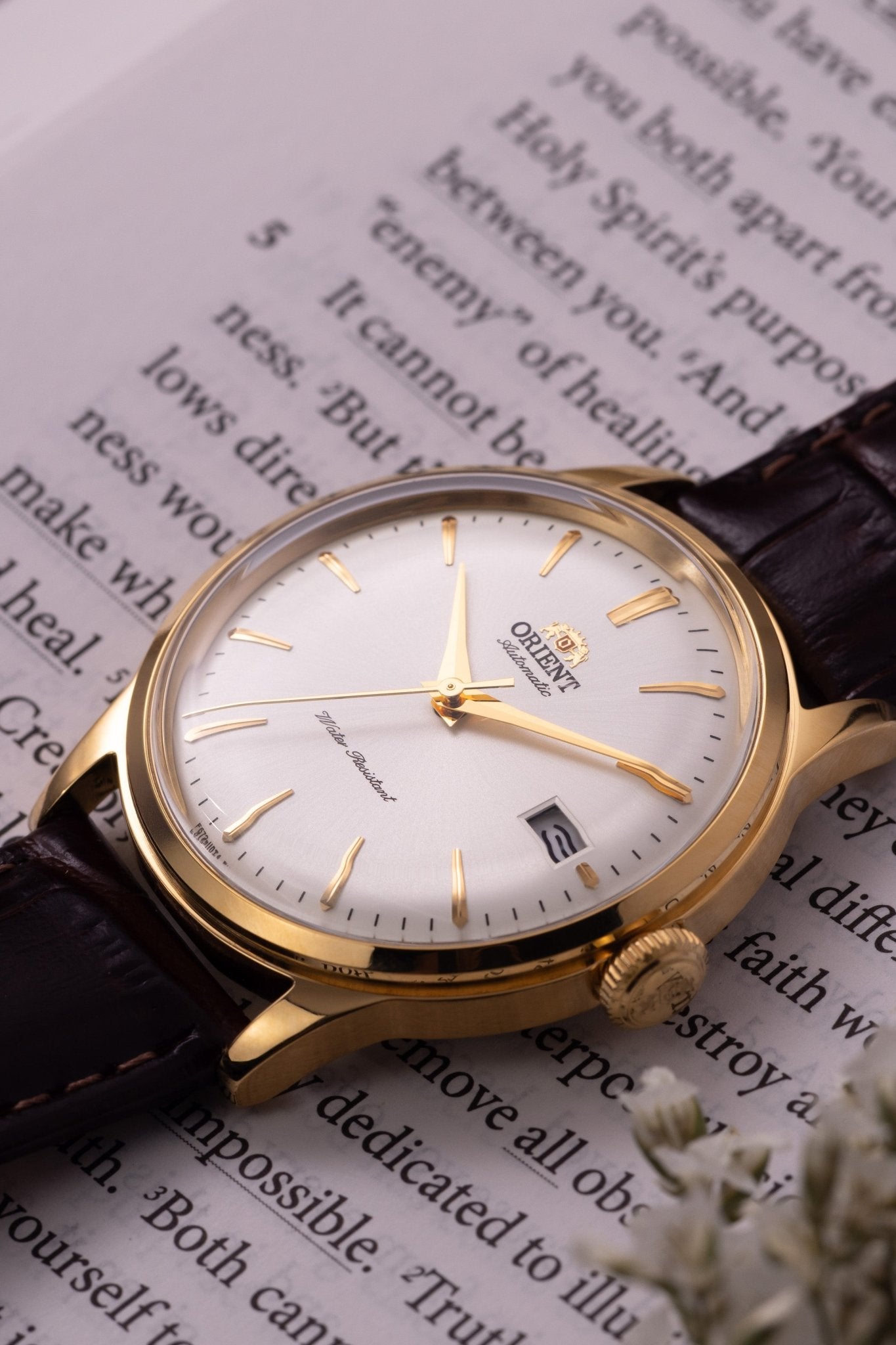 Orient Bambino Version 7 (38.4mm) - Orient Watch USA