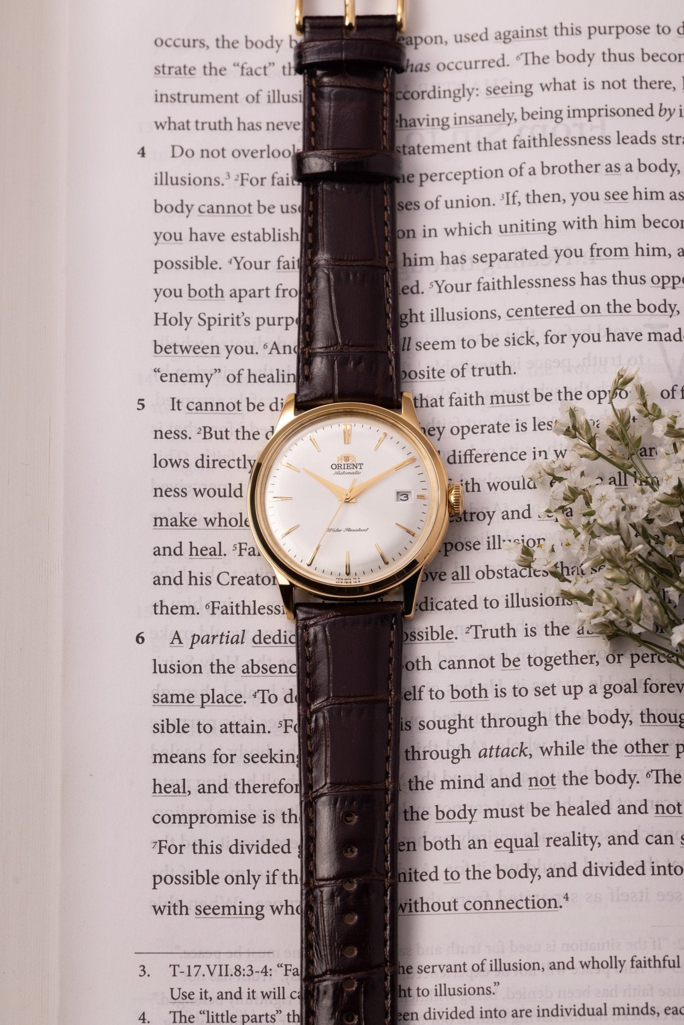 Orient Bambino Version 7 (38.4mm) - Orient Watch USA