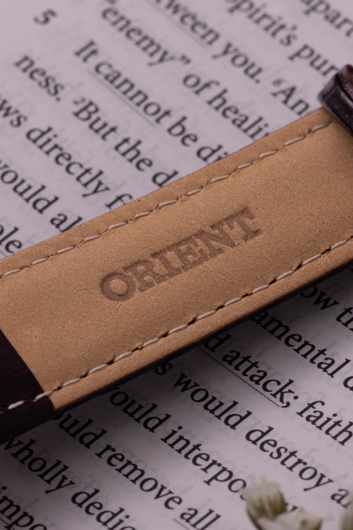 Orient Bambino Version 7 (38.4mm) - Orient Watch USA