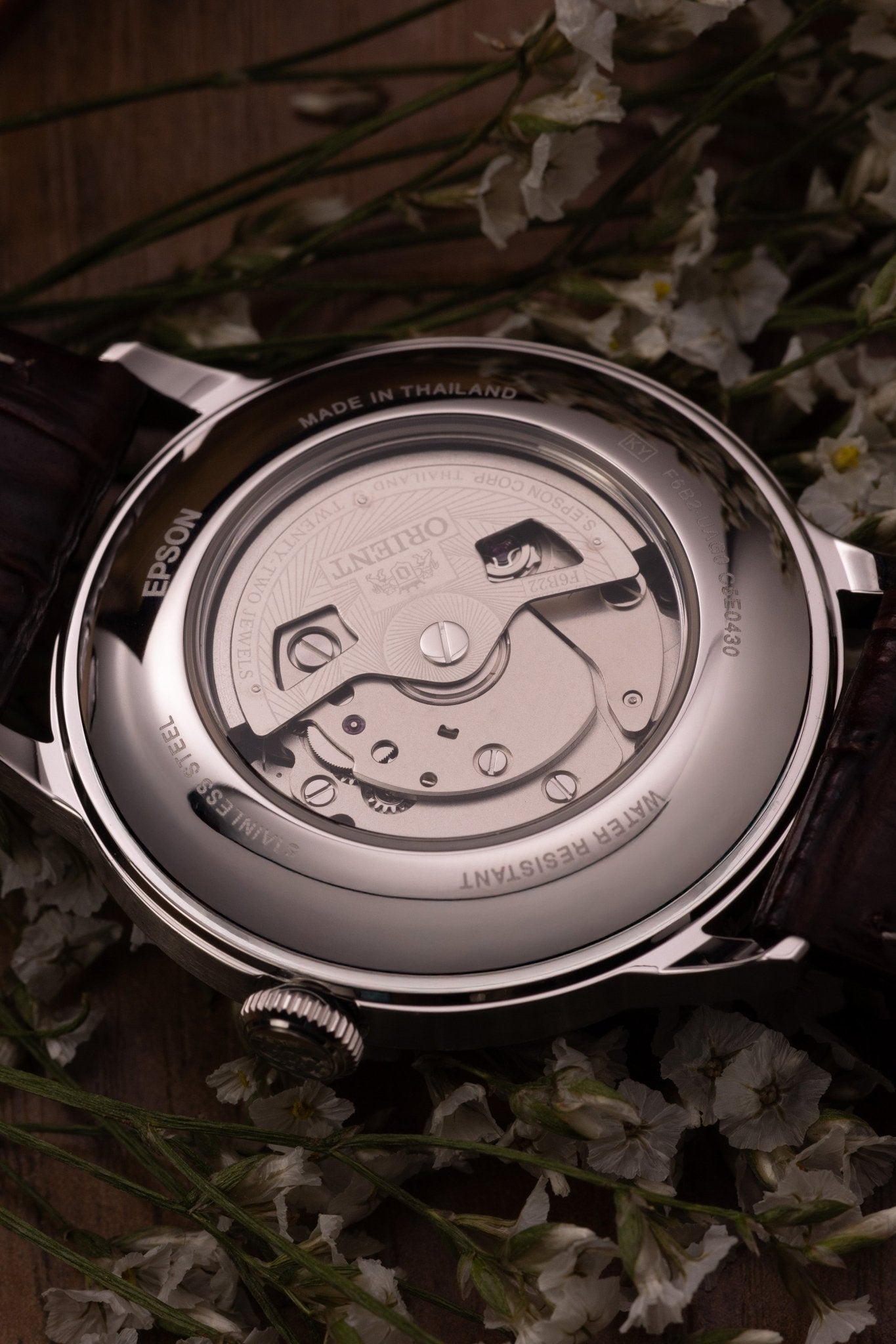Orient Bambino Version 8 - Orient Watch USA