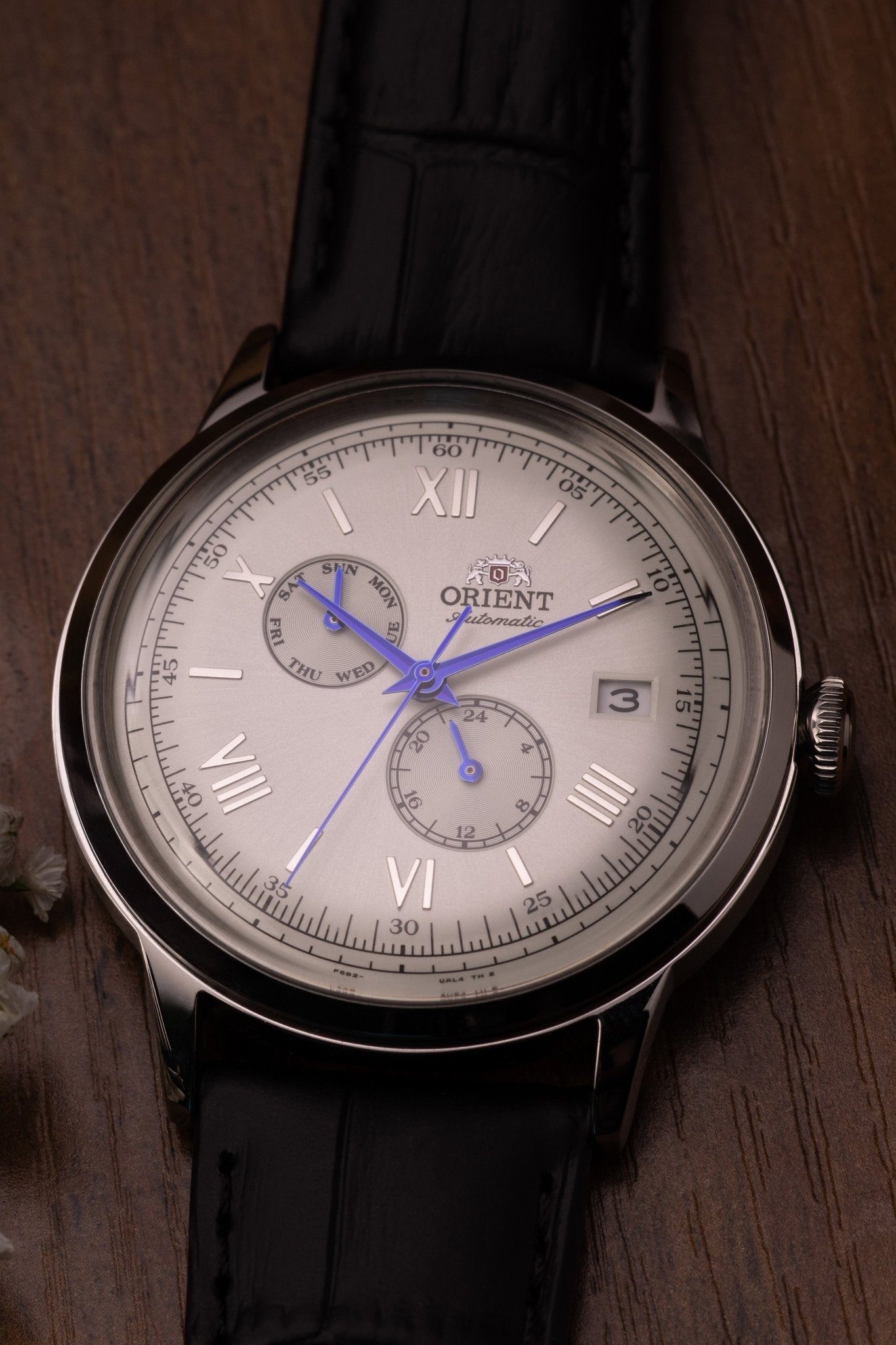 Orient Bambino Version 8 - Orient Watch USA
