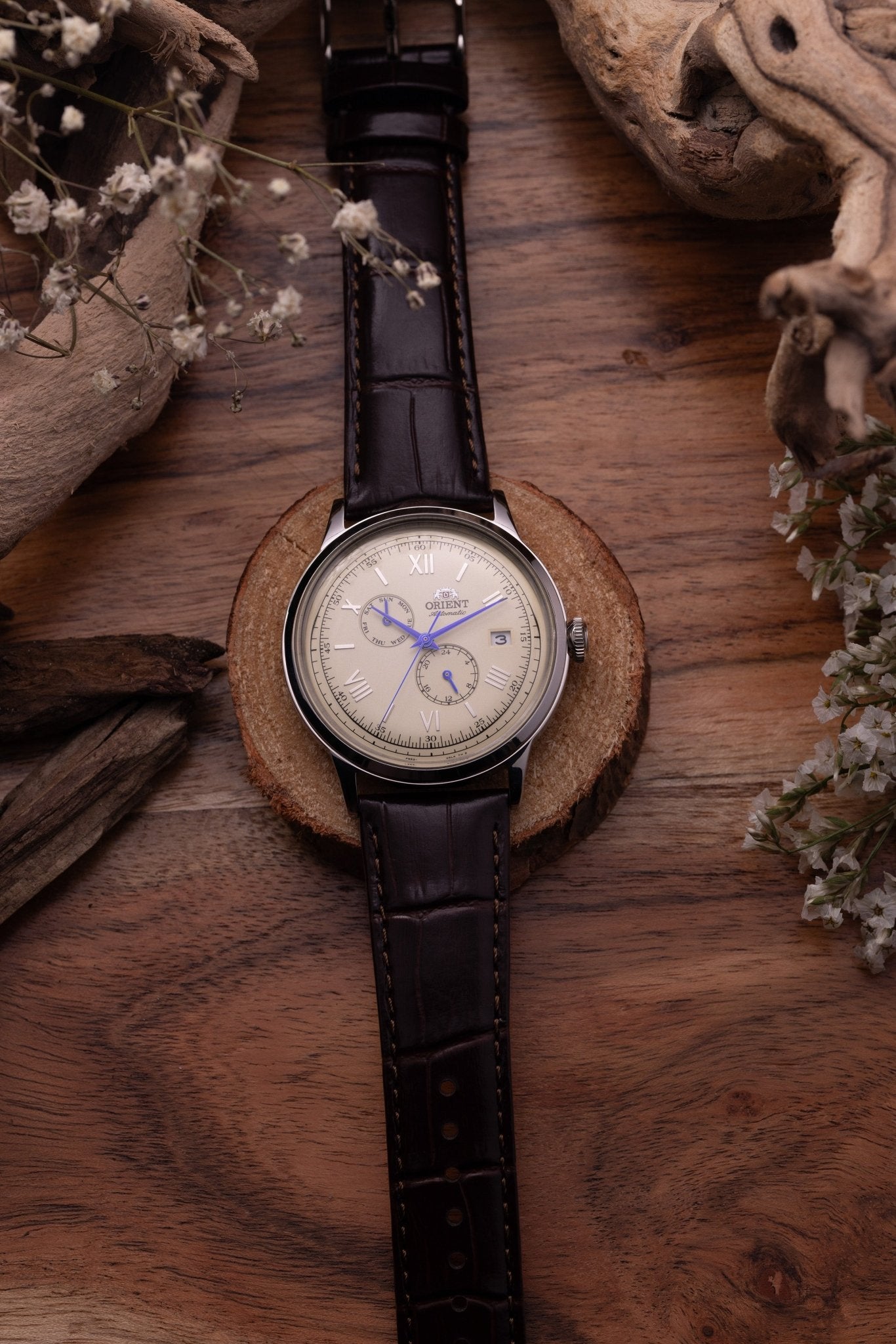 Orient Bambino Version 8 - Orient Watch USA