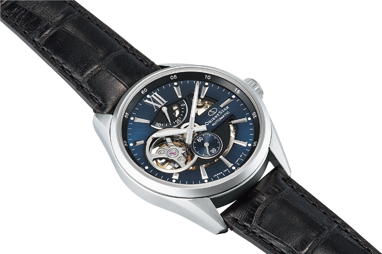 Modern Skeleton